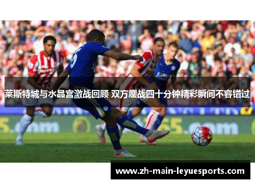 莱斯特城与水晶宫激战回顾 双方鏖战四十分钟精彩瞬间不容错过 莱斯特城与水晶宫激战回顾 双方鏖战四十分钟精彩瞬间不容错过