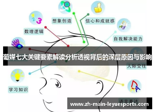 葡媒七大关键要素解读分析透视背后的深层原因与影响