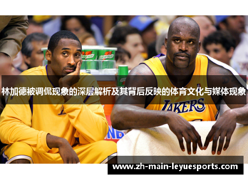 林加德被调侃现象的深层解析及其背后反映的体育文化与媒体现象