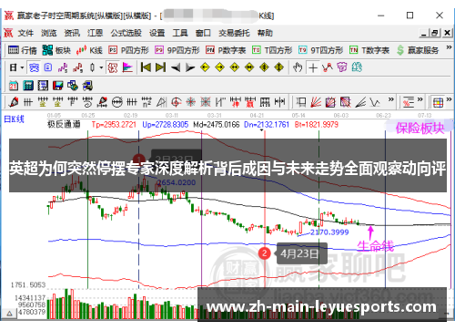 英超为何突然停摆专家深度解析背后成因与未来走势全面观察动向评