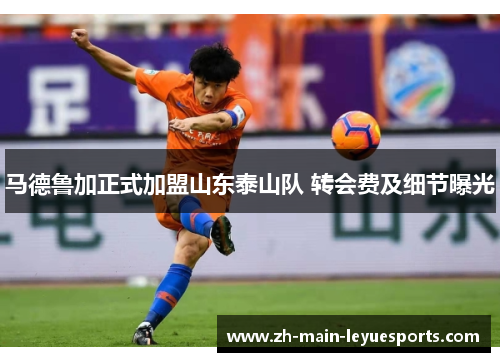 马德鲁加正式加盟山东泰山队 转会费及细节曝光