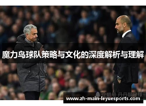 魔力鸟球队策略与文化的深度解析与理解